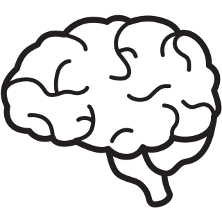 brain-2 brain-2